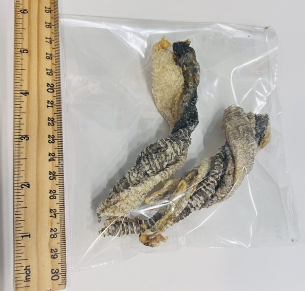 Hermit Crab Foraging Items