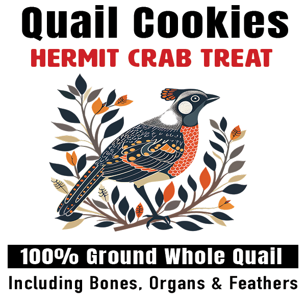 Hermit Crab Food Treat 100" whole ground quail